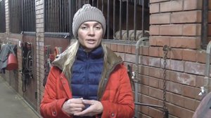 Рацион питания лошади