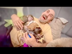 Люська стащила целый пакет миндаля и принесла лакомство Степашке и Воаду! Добрая девочка, ПОДЕЛИЛА