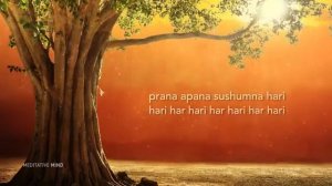 Mantra  Prana Apana Sushumna Hari