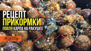 Карпфишинг TV :: Прикормка для ловли карпа на основе ракушки. Рецепт