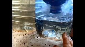 Опыт фильтрации воды древесным углем