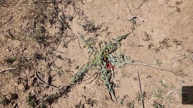 Избавление от ЗАСТОЯ в ЖИЗНИ и топтания на месте, созданных магическим воздействием