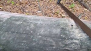 Строю ЗЕМЛЯНКУ к ЗИМЕ | Закончил с ЯМОЙ, возвожу КАРКАС | Часть 2