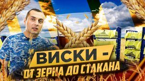 8# ВИСКИ - от зерна до стакана! часть1(ПРОРАЩИВАНИЕ СОЛОДА)