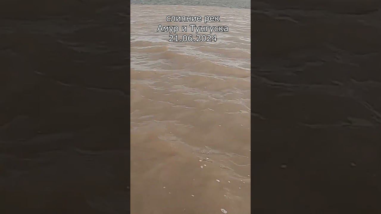Слияние рек Амур и Тунгуска #яспиннингист #fishing смотреть онлайн