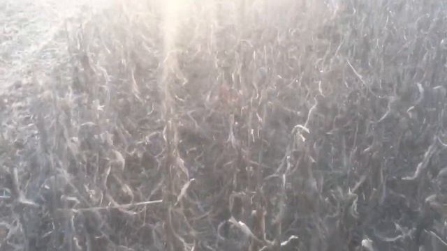 Встряли на ремонт ската ??♀️оце так по калимили ?? смотреть онлайн