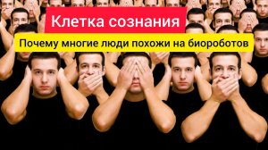 Почему люди похожи на биороботов? Клетка сознания