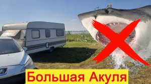 Озеро Большая Акуля. Обзор в августе.