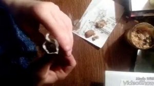 Делаем свечу из огарков от старых свеч)))