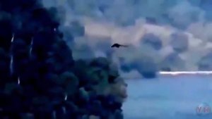 5 ДРАКОНОВ, СНЯТЫХ НА ВИДЕО ЧАСТЬ 2 Драконы, Снятые На Камеру
