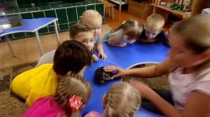 Моисеева Н Н  Наблюдение за черепахой