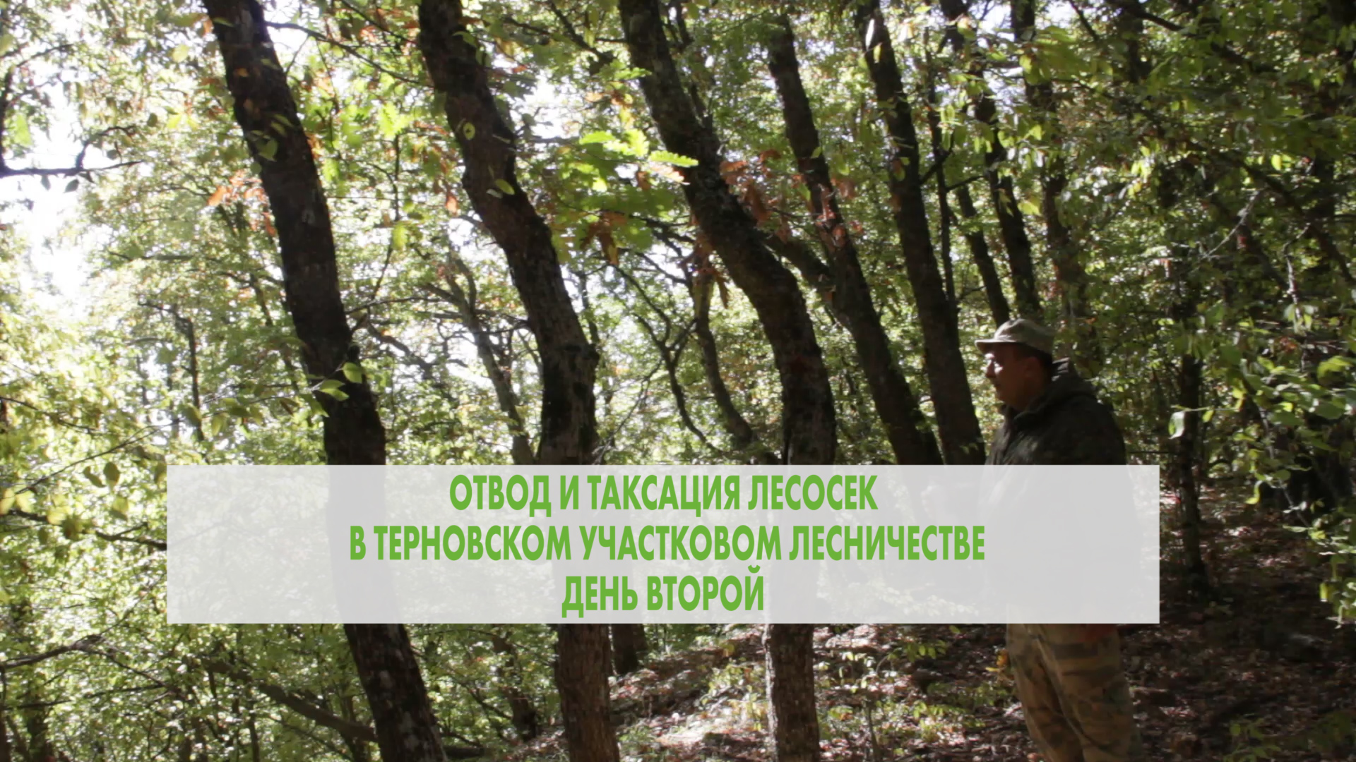 Таксация в Терновском лесничестве. День второй.