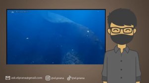 PERTARUNGAN BLOOP VS EL GRAN MAJA!! SIAPA YANG MENANG?
