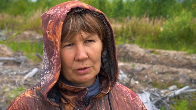 Всё начинается с дерева. ООО "Лузалес". Лесовосстановление