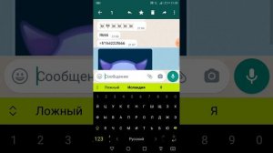 мне звонили в WhatsApp и обычный телефон по номеру 666