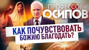 ПРОФЕССОР ОСИПОВ: КАК ПОЧУВСТВОВАТЬ БОЖИЮ БЛАГОДАТЬ?