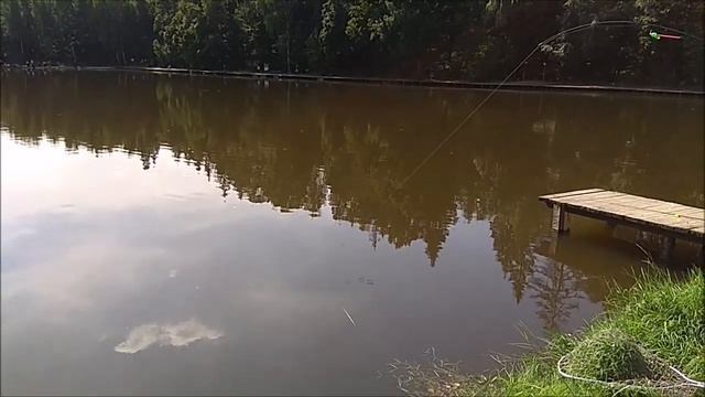 Полуденные поимки осетра. Клёвое место, лосиный остров. смотреть онлайн