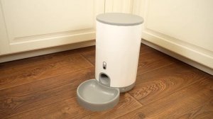 Это лучшая автоматическая кормушка для кошки. Обзор гаджетов Petoneer