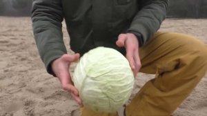 EXPERIMENT : Big Deep Hole And Different Things