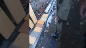 Льняное масло для пропитки древесины