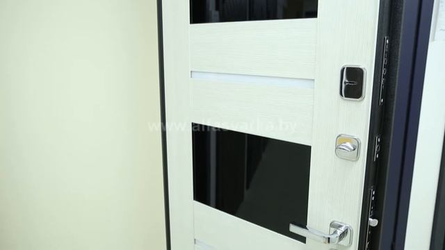 Металлическая Входная Дверь STYLE 3 смотреть онлайн