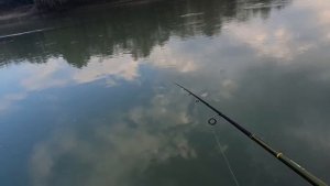 Жерех муха и пуговица