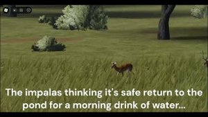 |Ali's Hunt|~ roblox wild savanna)