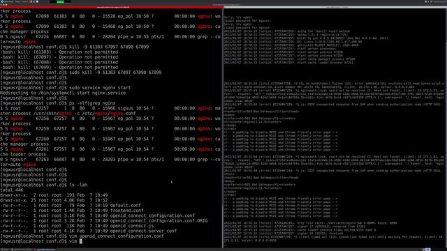 NGINX Plus - OIDC Initial Configuration смотреть онлайн