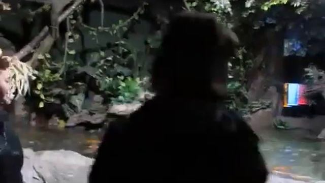 КАК ОРГАНИЗОВАТЬ БИЗНЕС ПО РАЗВЕДЕНИЮ РЫБЫ 2021 смотреть онлайн