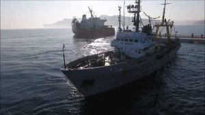 Шикотан/Shikotan island/色丹 2017