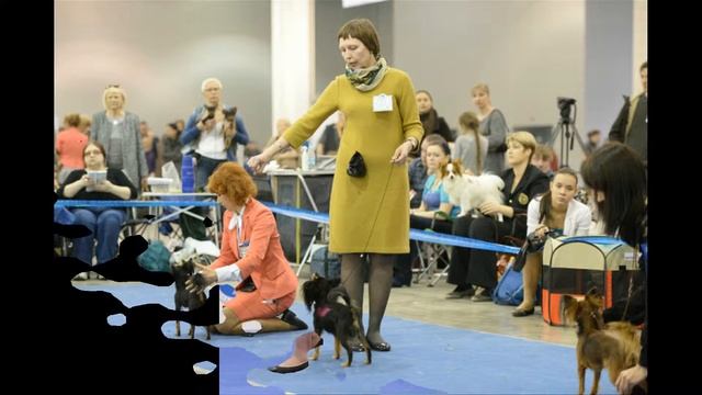 С Днём Рождения Босс! смотреть онлайн