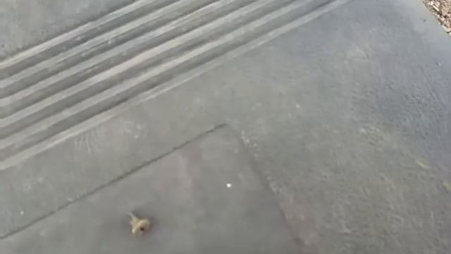 Ремонт ручек Golf 2 смотреть онлайн