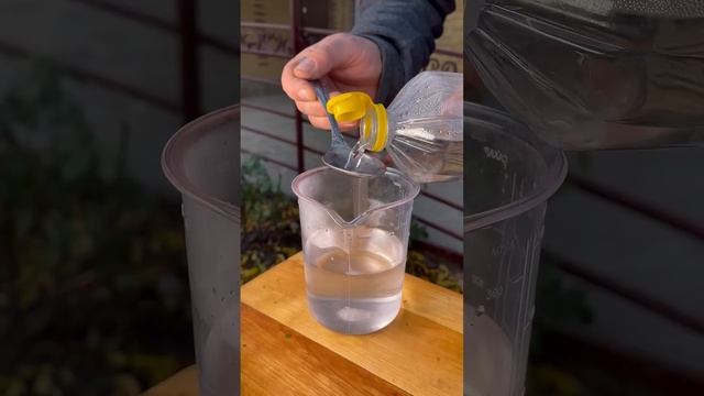 МАРИНОВАННЫЙ ЛУЧОК под ШАШЛЫЧОК #cooking #recipe #food смотреть онлайн