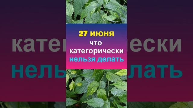 27 июня народный праздник день Елисея Гречкосея. Что нельзя делать. Народные приметы традиции обыча