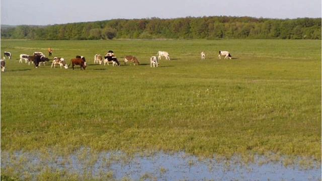 с.Котовское (родные места) смотреть онлайн