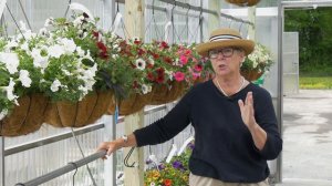 Judy Hanging baskets - East Coast Garden Center