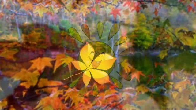 Золотые листики1 смотреть онлайн