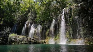 Расслабляющий сон под лесной водопад и щебетание птиц