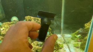 Новый магнитный скребок Tunze Care Magnet pico.