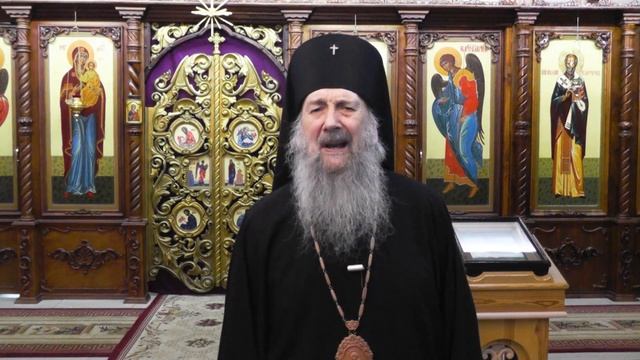 Проповедь в Неделю ваий, праздник Входа Господня в Иерусалим. смотреть онлайн