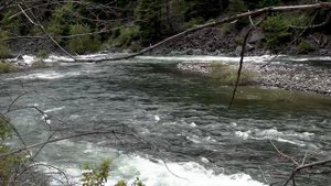 TODA (евр.пес.) - Благодарственный псалом. И.Ротару.