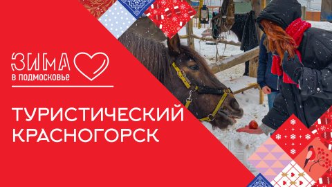 Прогулки на лошадях и тракторах: Красногрск | Зима в Подмосковье