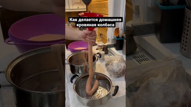 Как делается домашняя кровяная колбаса