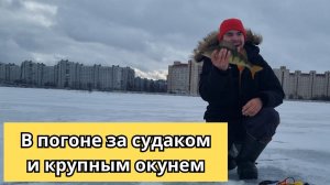 #63 #зимняяловлярыбы Я не ожидал, что тут столько судака!