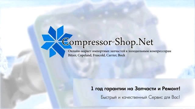 Капитальный ремонт компрессоров Bitzer, Copeland, Frascold, Dorin, BOCK