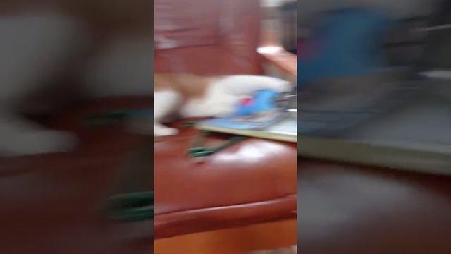 Зачем?!?! Хватит меня снимать!