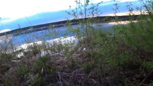 Ловля Щуки с берега на Вертушку. Утонул в Забродниках