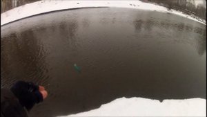 FishComm Shop. Kosadaka Shinner XS 115SP. Ты Шиннер или Шайнер?