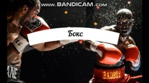 ТОП 5+ видов единоборств, самых эффективных в уличной драке