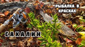 Осенний спиннинг, гоняем кунджу в озере и речке, Октябрь 2023